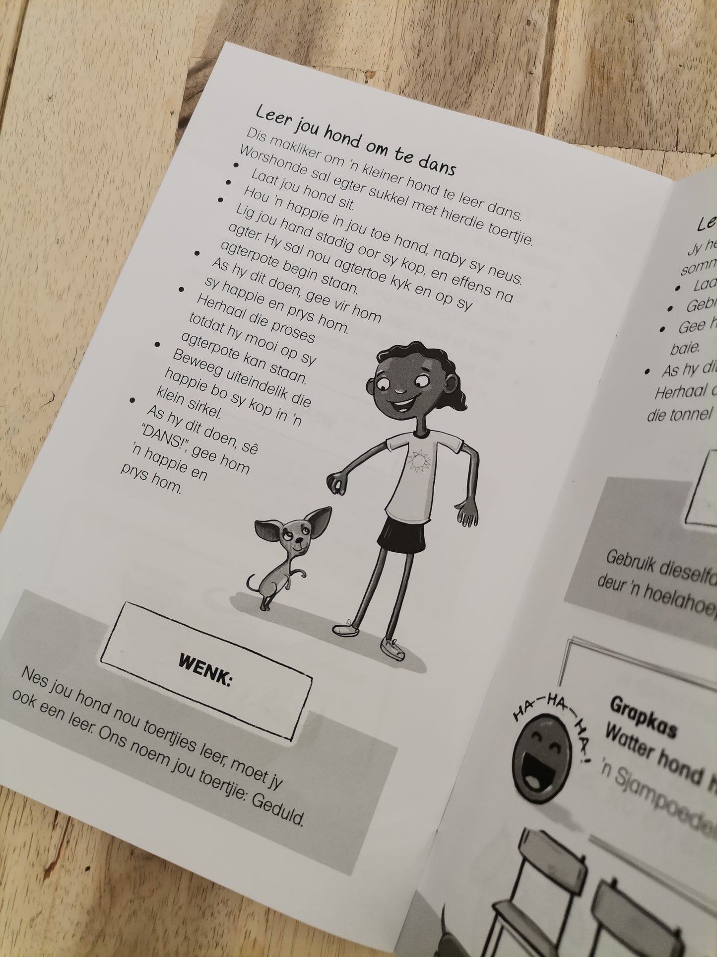 Die Klein Boek Van Hipercool Hondetoertjies by Fanie Viljoen