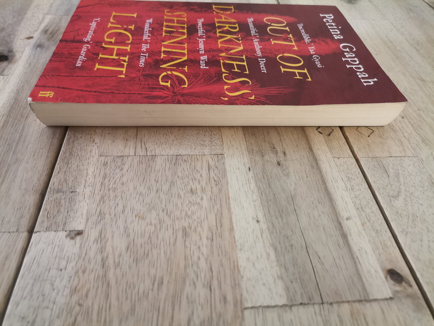Out of Darkness, Shining Light by Petina Gappah