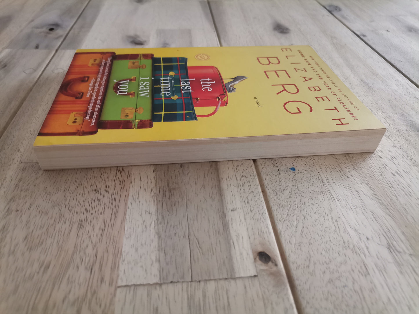 The Last Time I Saw You – Elizabeth Berg
