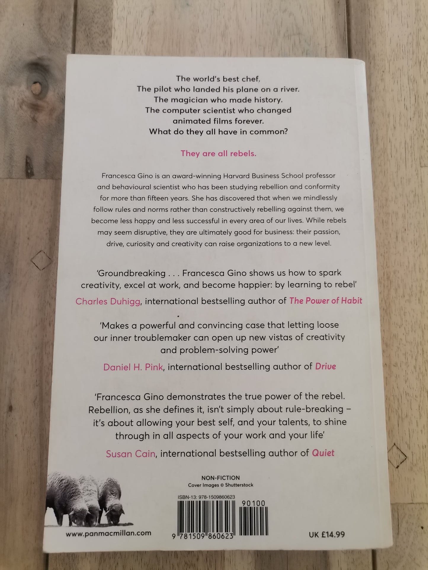 Rebel Talent - Francesca Gino (Trade Paperback)