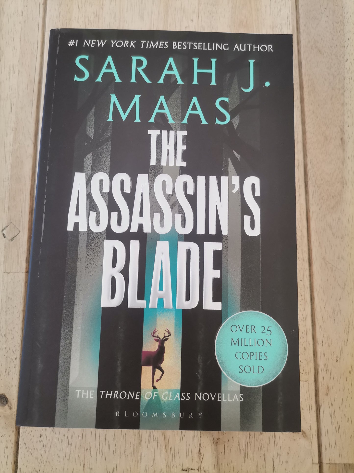 The Assasins Blade by Sarah J Mass