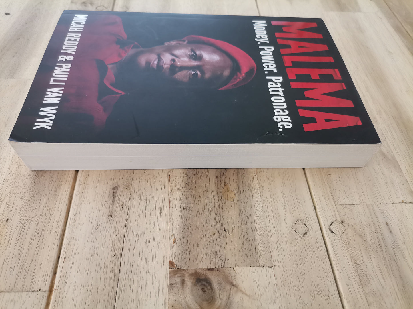 Malema – Micah Reddy & Paul van Wyk