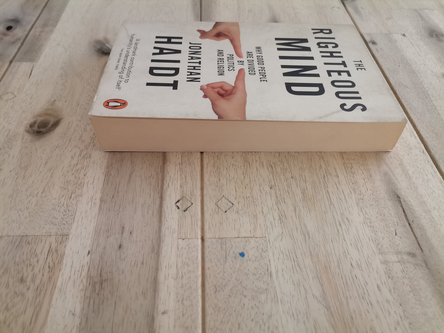 The Righteous Mind – Jonathan Haidt