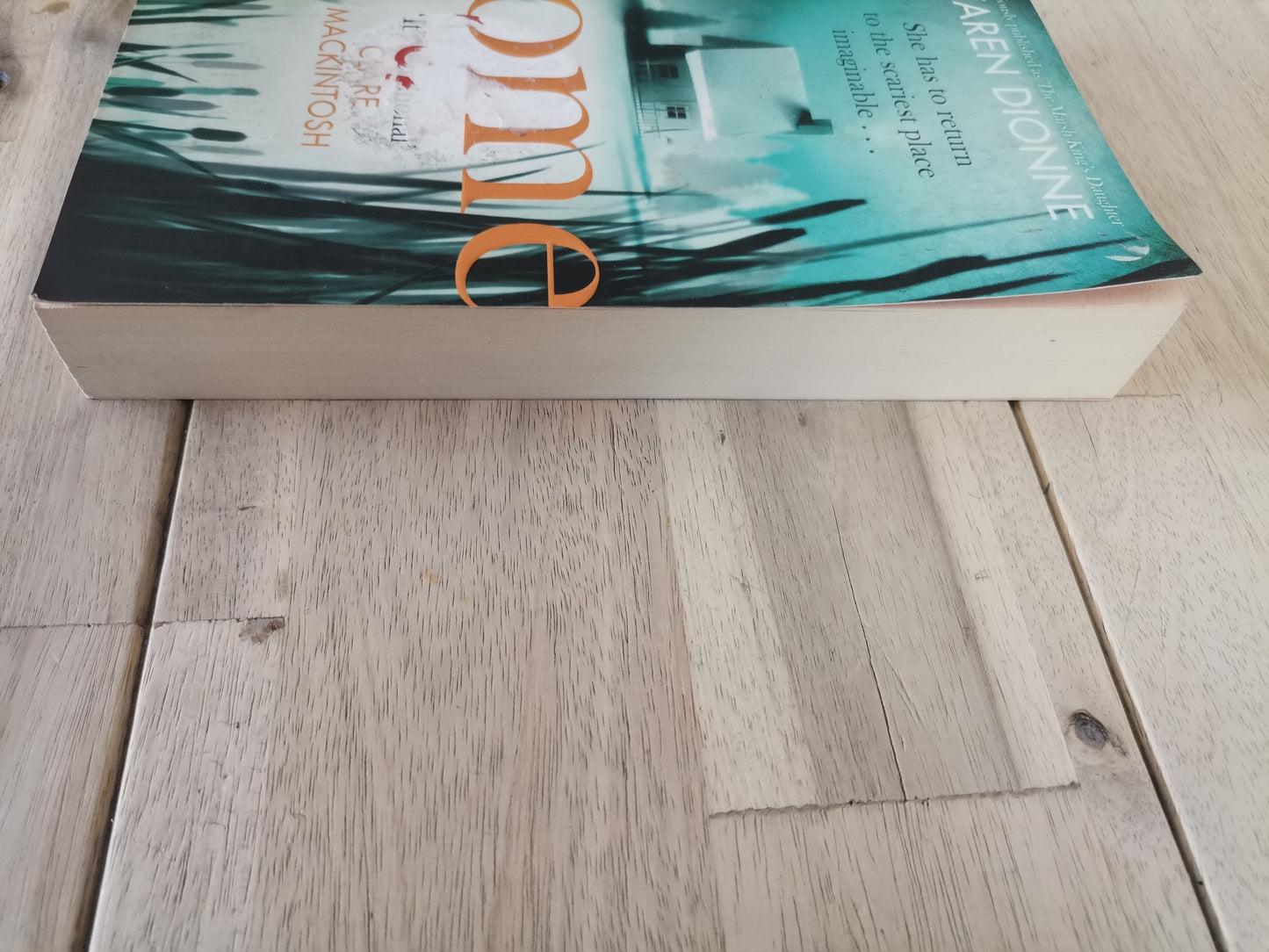 Home by Karen Dionne