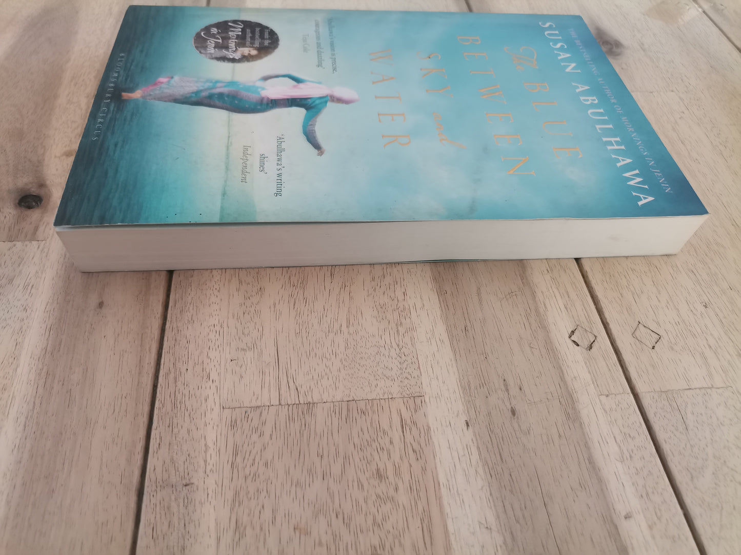 The Blue Between Sky and Water by Susan Abulhawa