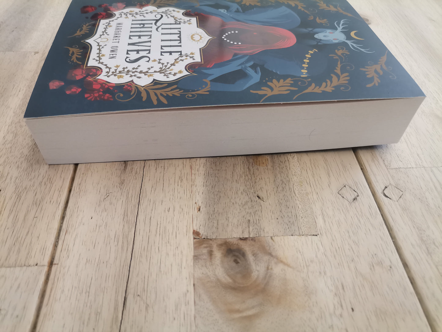 Little Theives by Margaret Owen