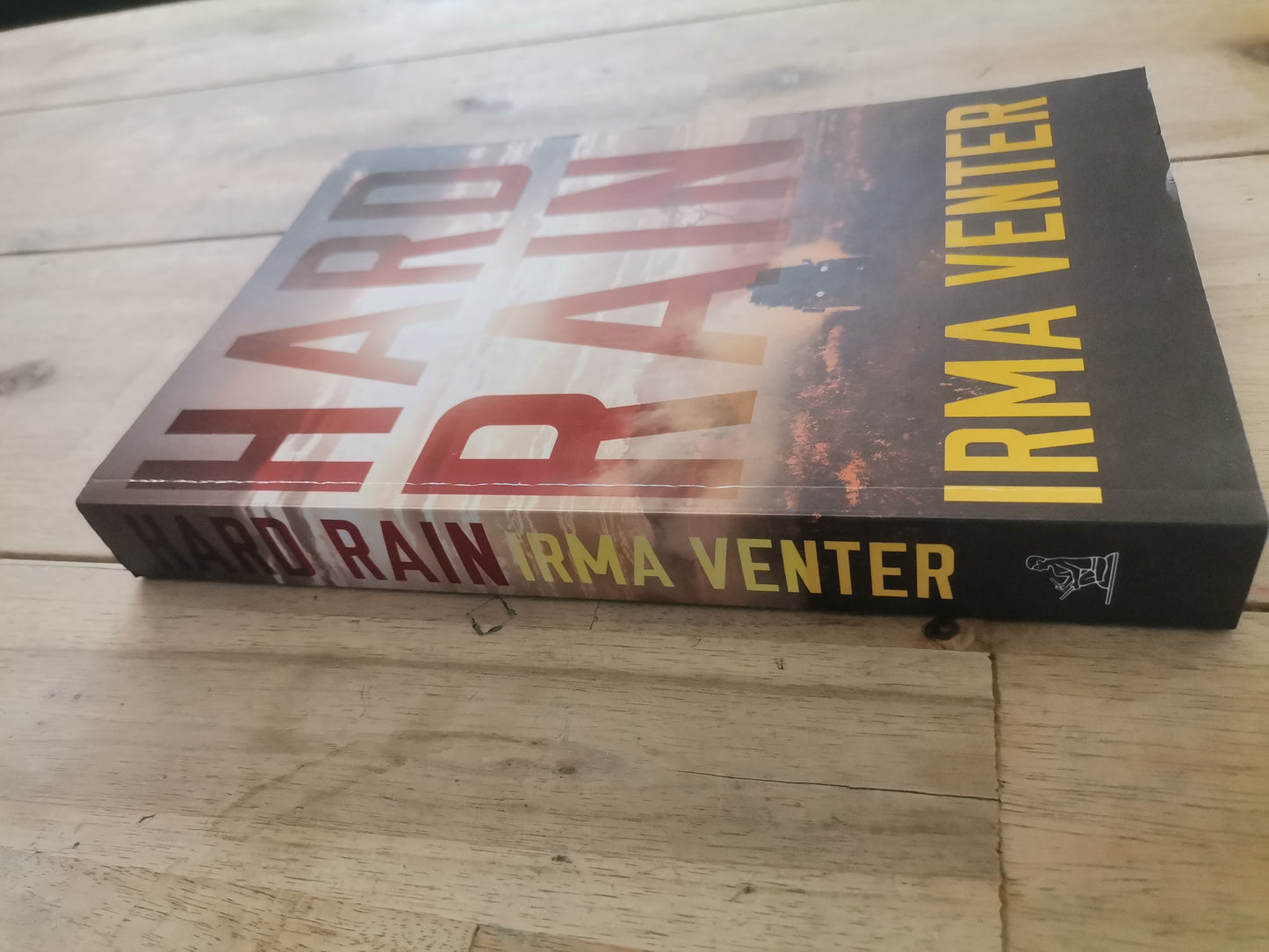 Hard Rain by Irma Venter