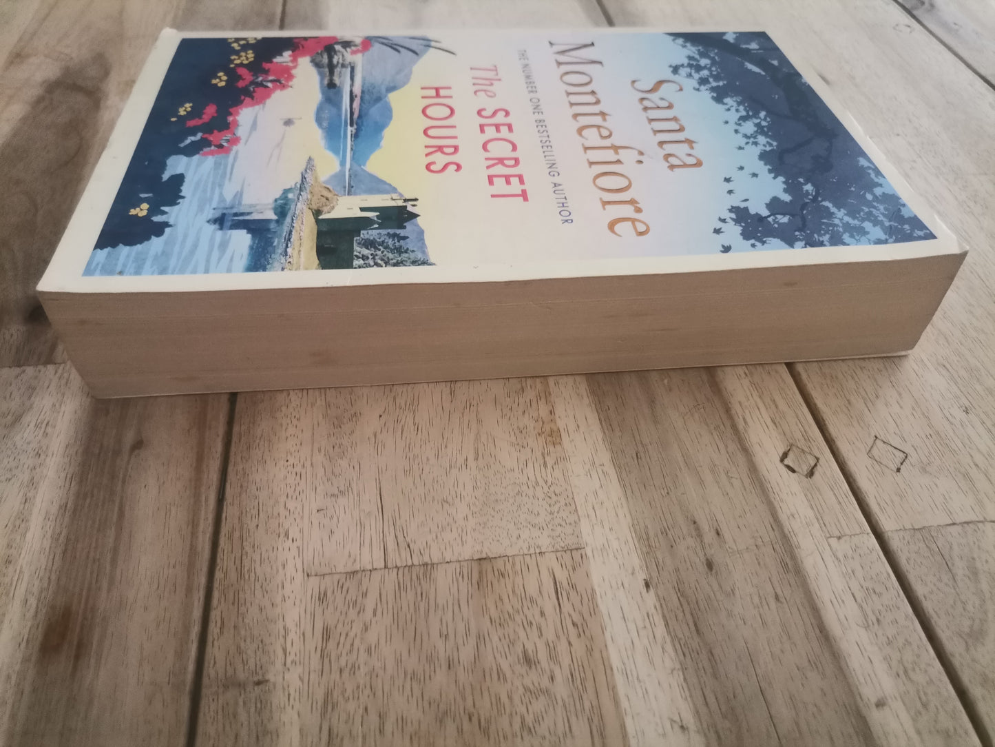 The Secret Hours by Santa Montefiore