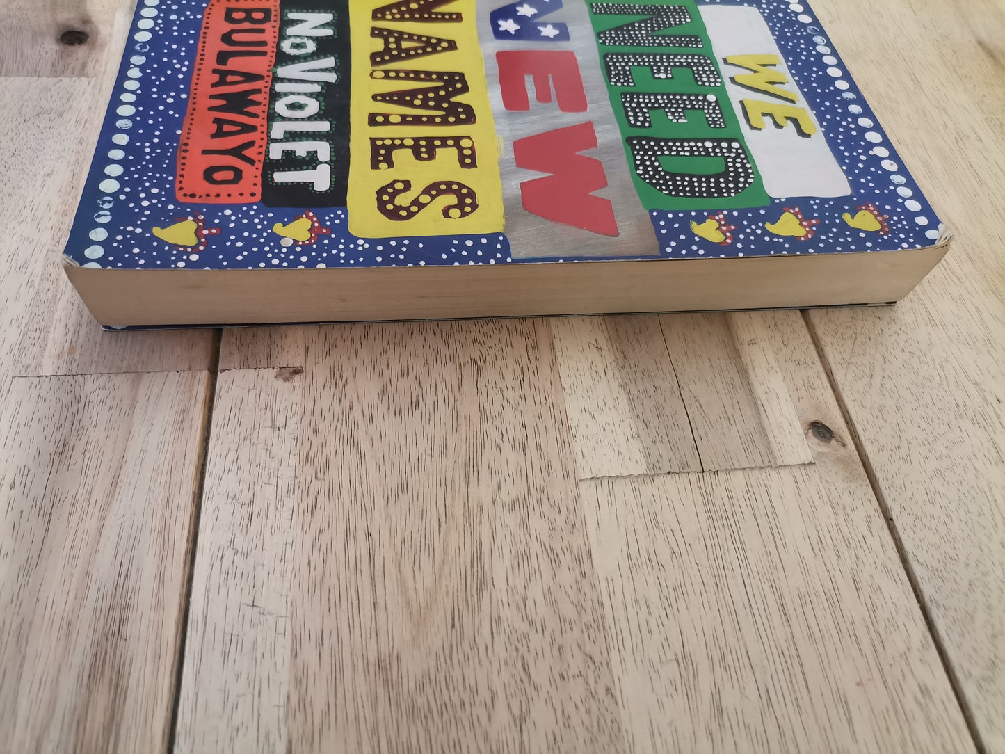 We Need New Names - NoViolet Bulawayo