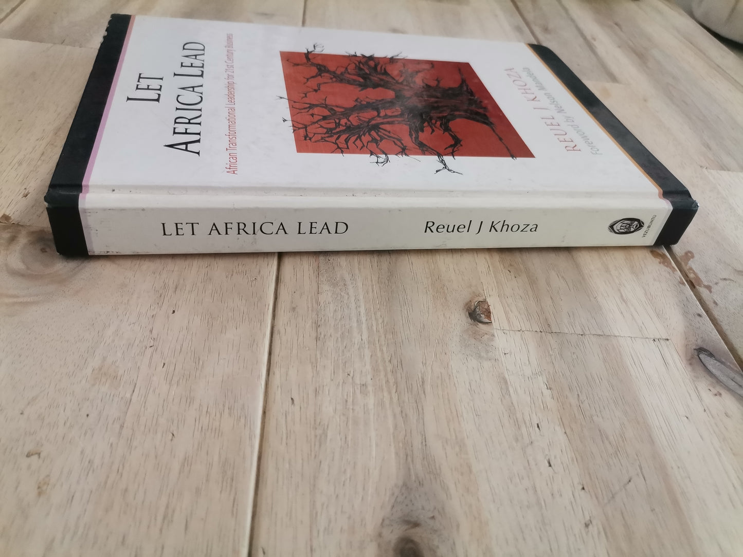 Let Africa Lead by Reuel J. Khoza