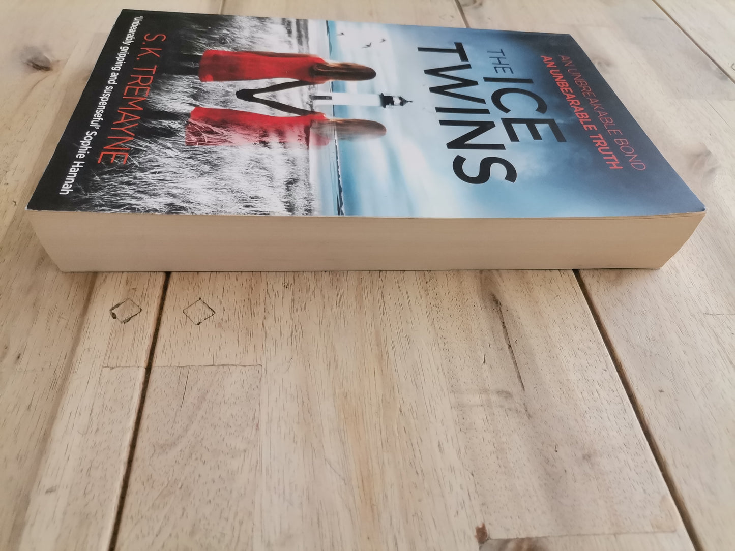 The Ice Twins by S.K. Tremayne