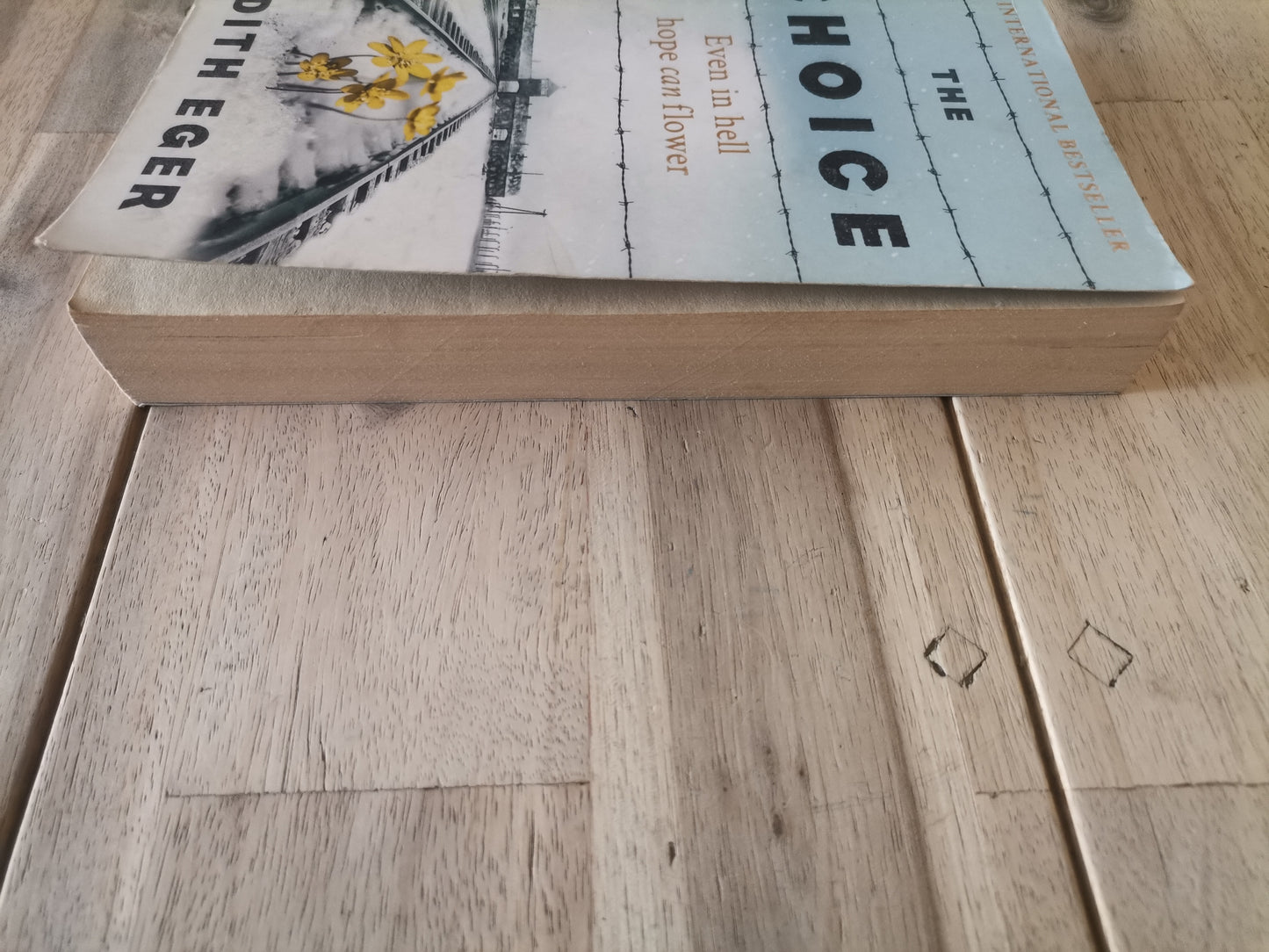 The Choice: Embrace the Possible by Edith Eger