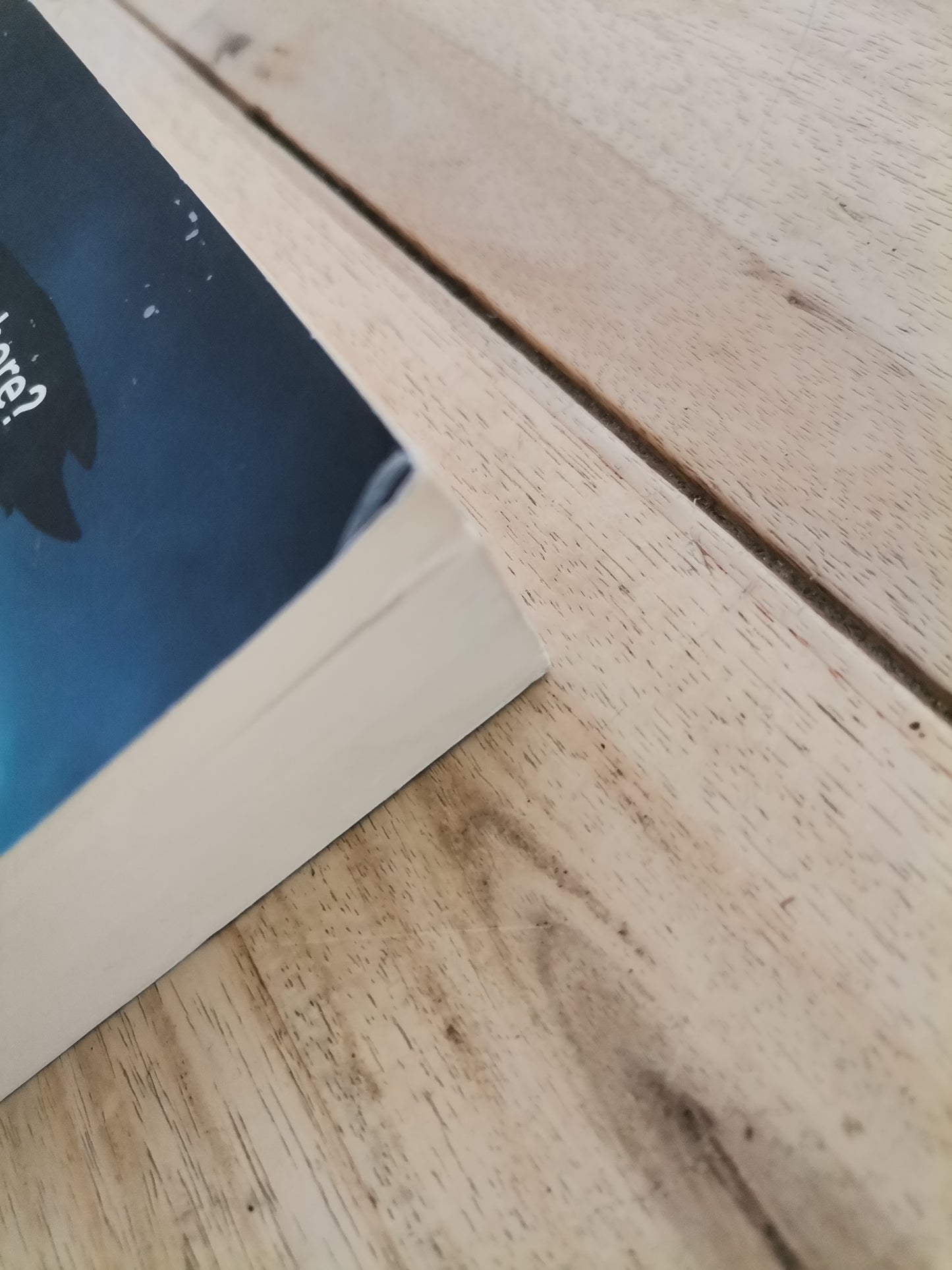 The Castaways – Lucy Clarke