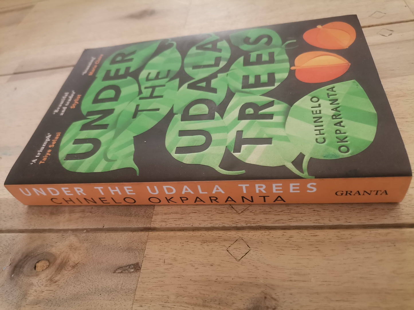 Under The Udala Trees by Chinelo Okparanta