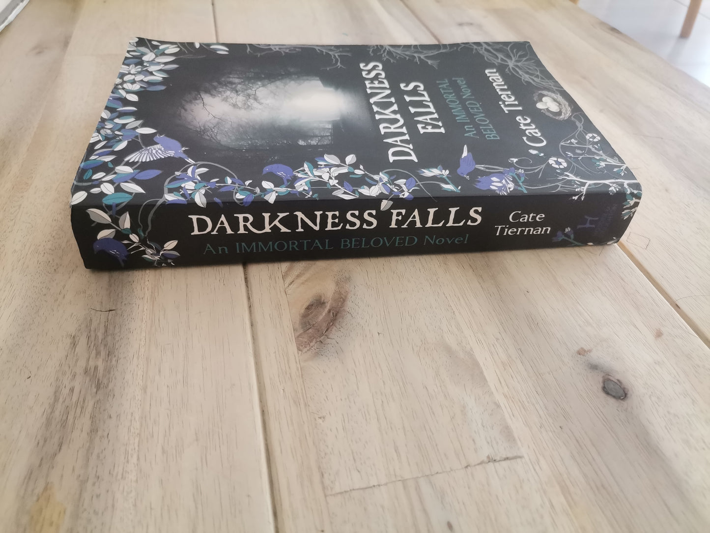 Darkness Falls by Cate Tiernan