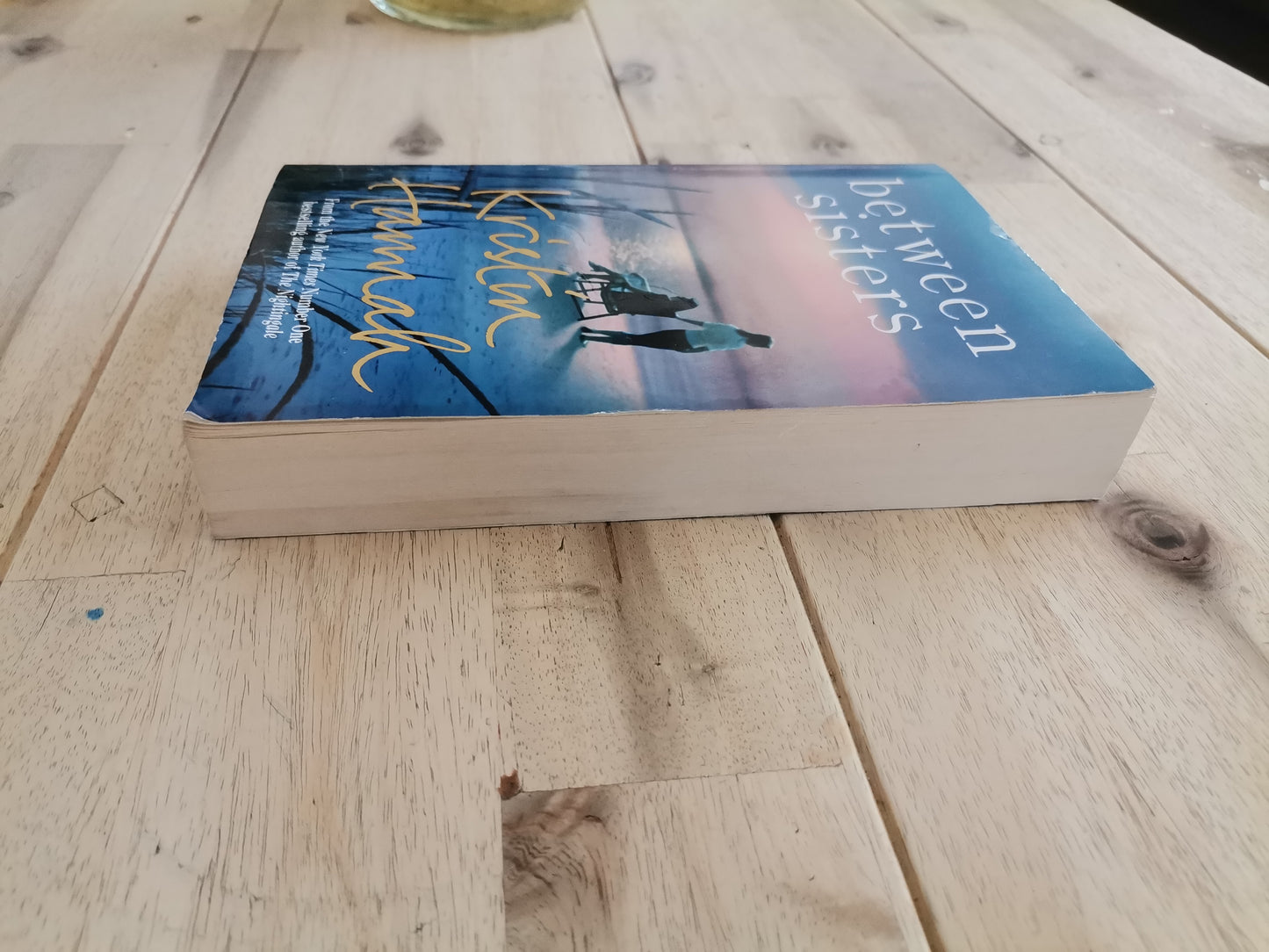 Between Sisters – Kristin Hannah