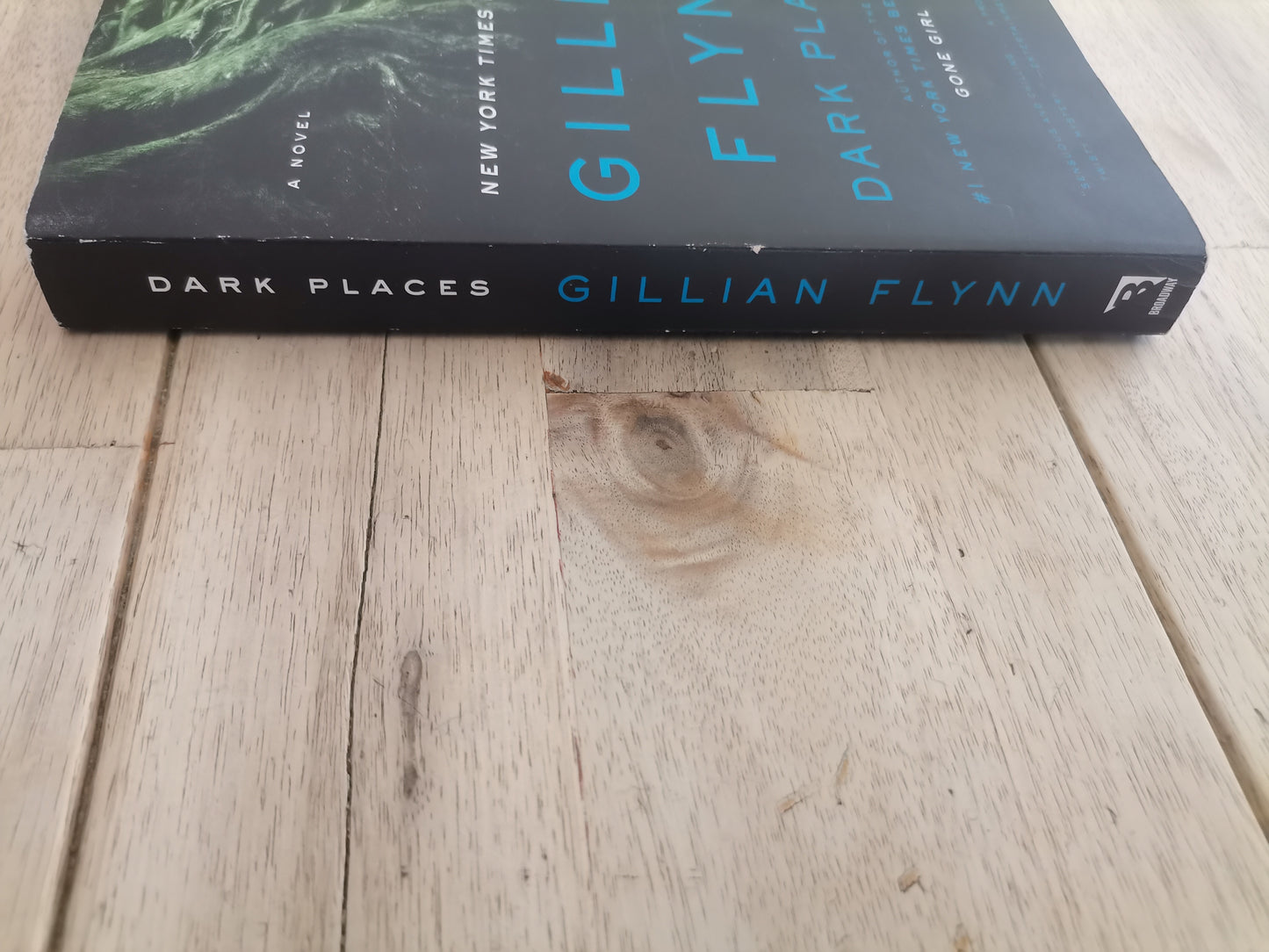 Dark Places by Gillian Flynn