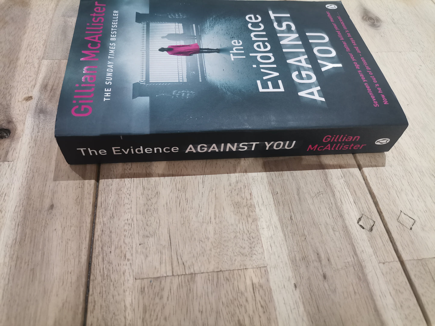 The Evidence Against You by Gillian McAllister