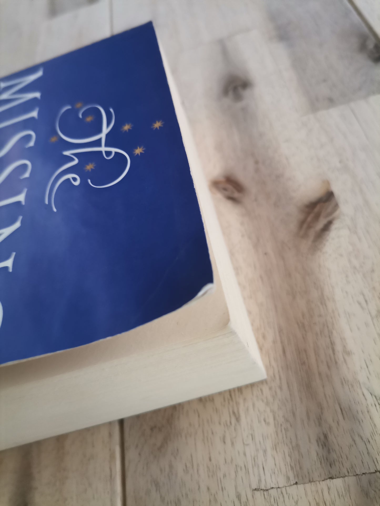 The Missing Sister – Lucinda Riley