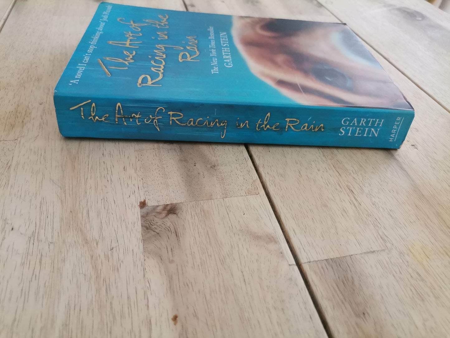 The Art of Racing in the Rain by Garth Stein