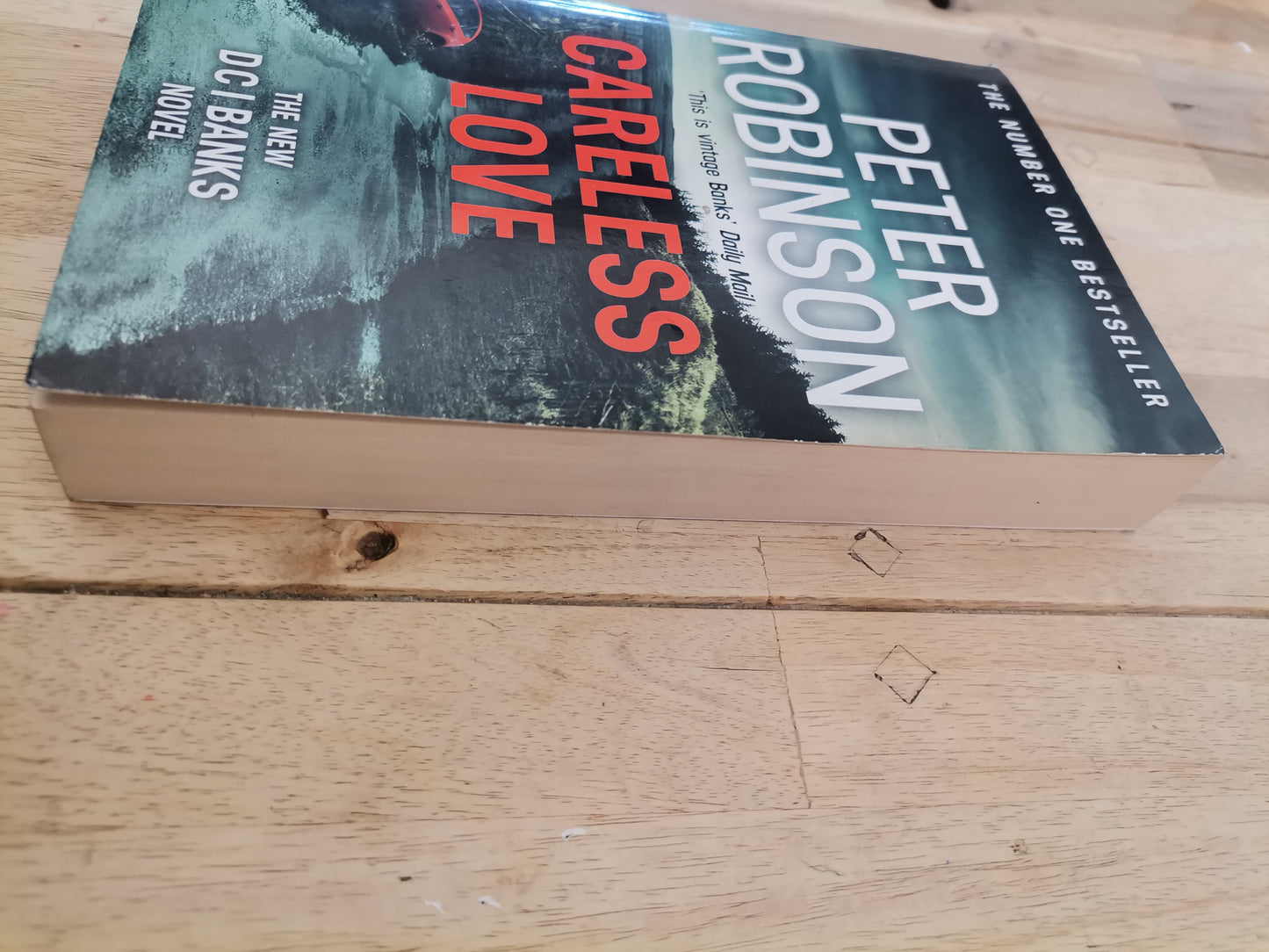 Carerless Love Peter Robinson