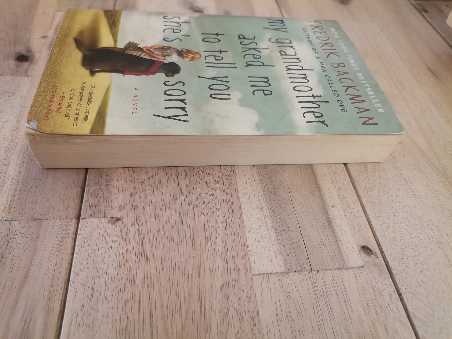 My Grandmother Asked Me to Tell You She's Sorry by Fredrik Backman