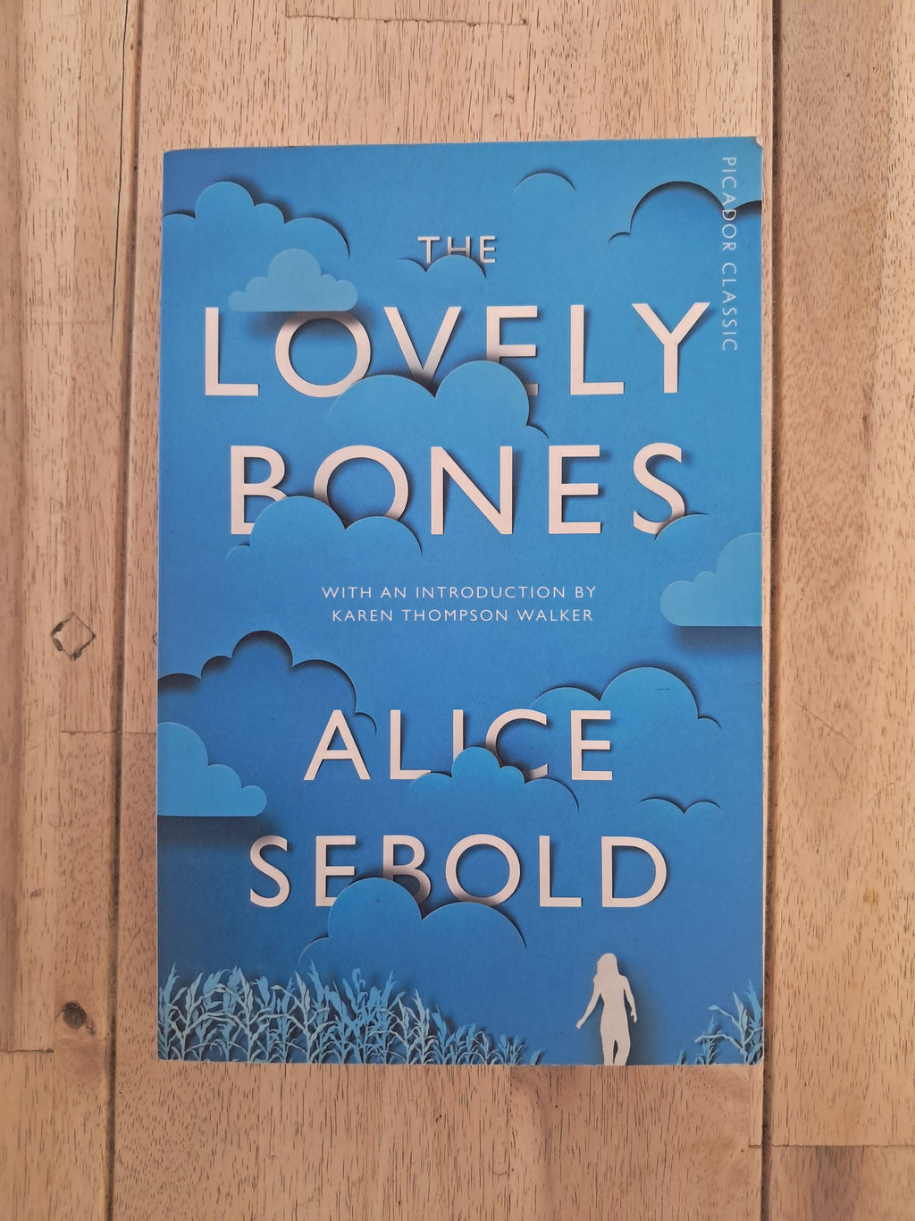 The Lovely Bones – Alice Sebold