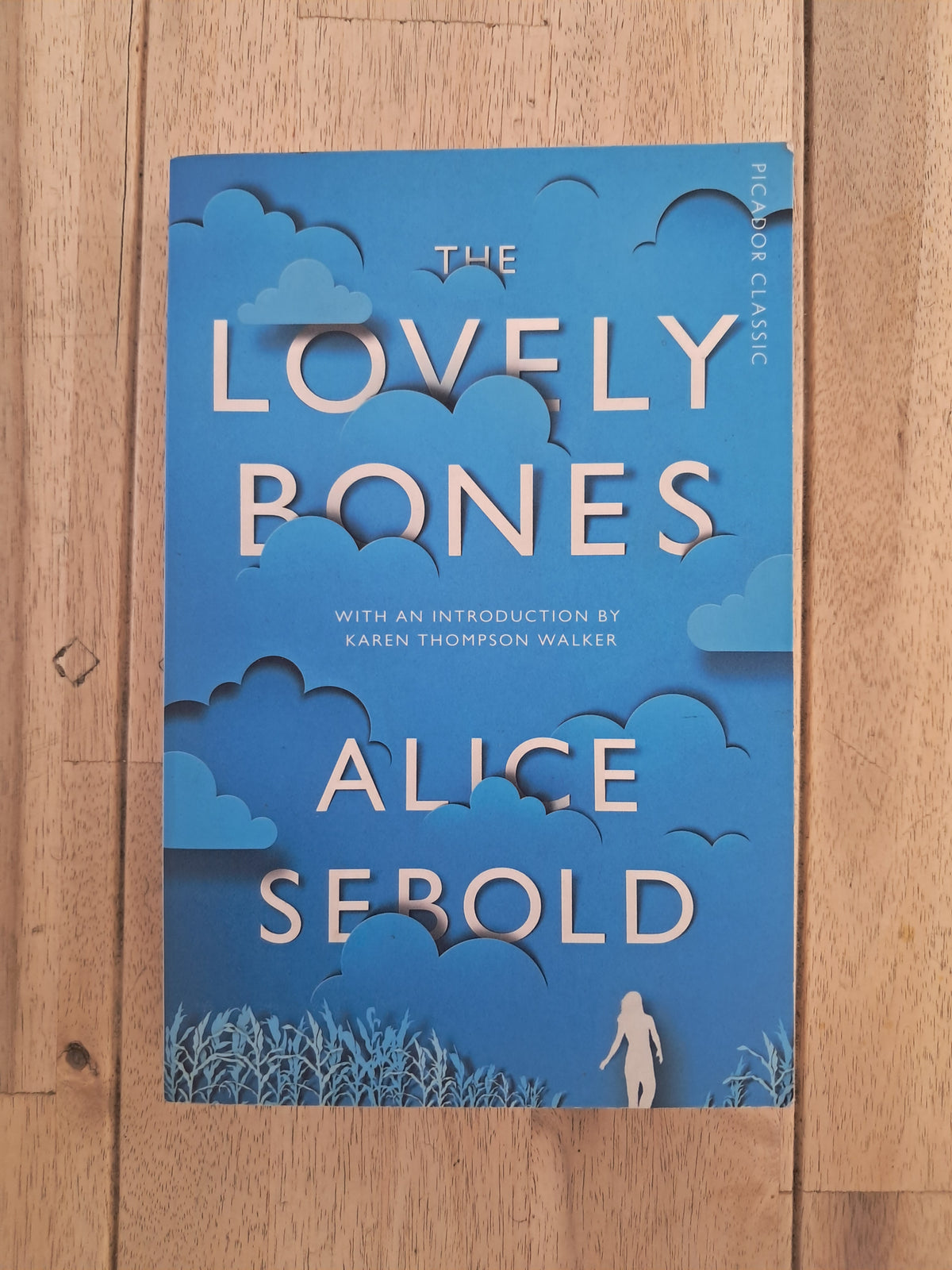 The Lovely Bones – Alice Sebold