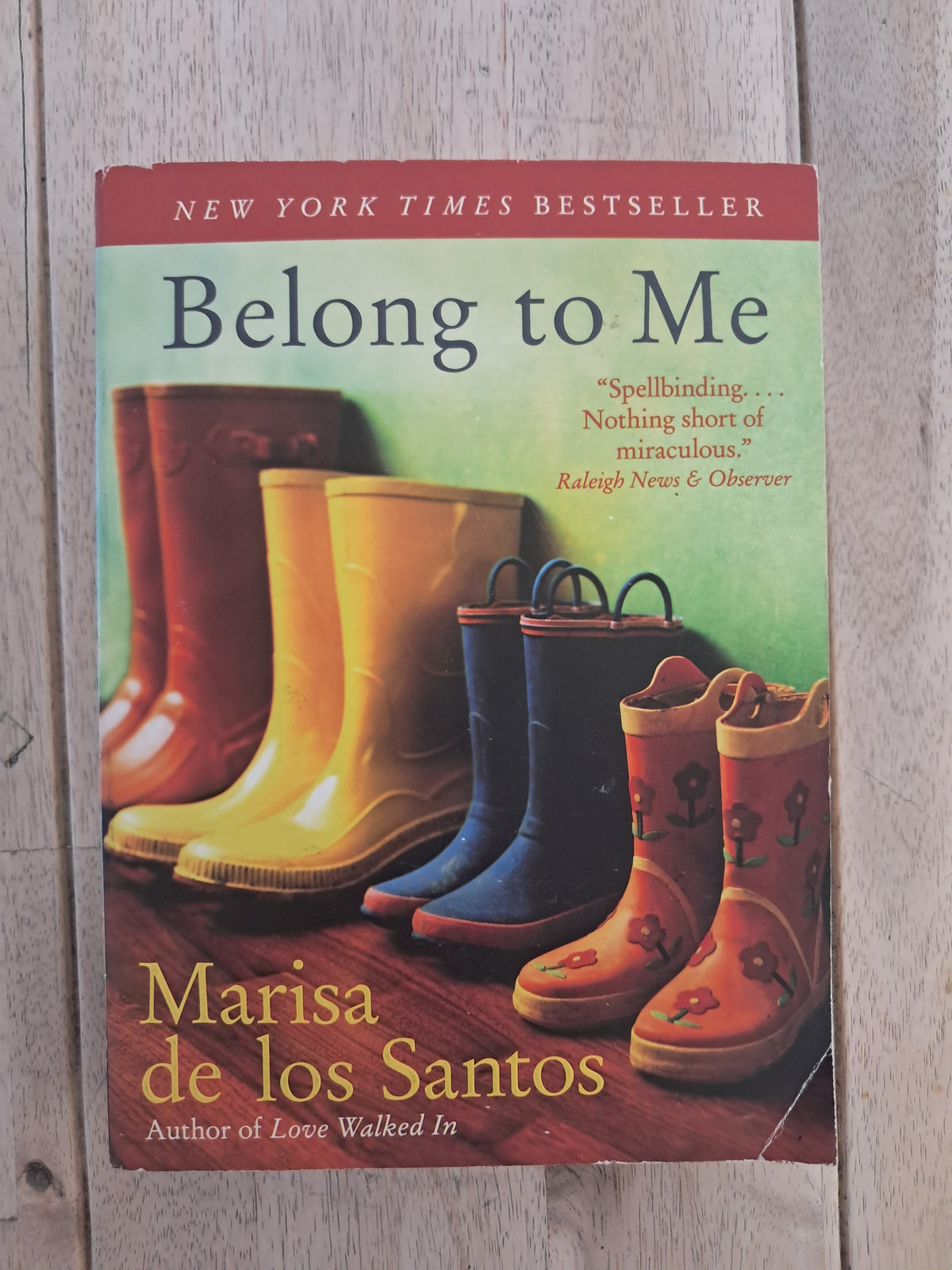 Belong to Me – Marisa de los Santos