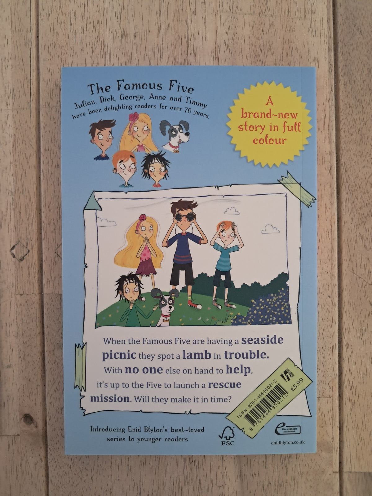 Famous Five Colour Short Stories: Five to the Rescue! – Enid Blyton