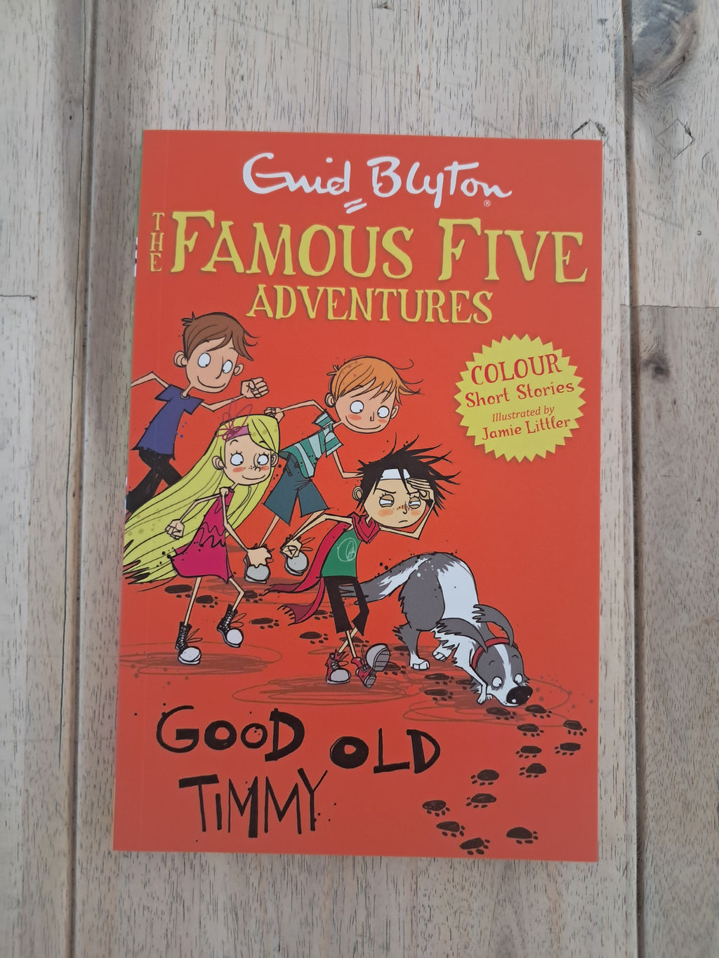 Famous Five Colour Short Stories: Good Old Timmy – Enid Blyton