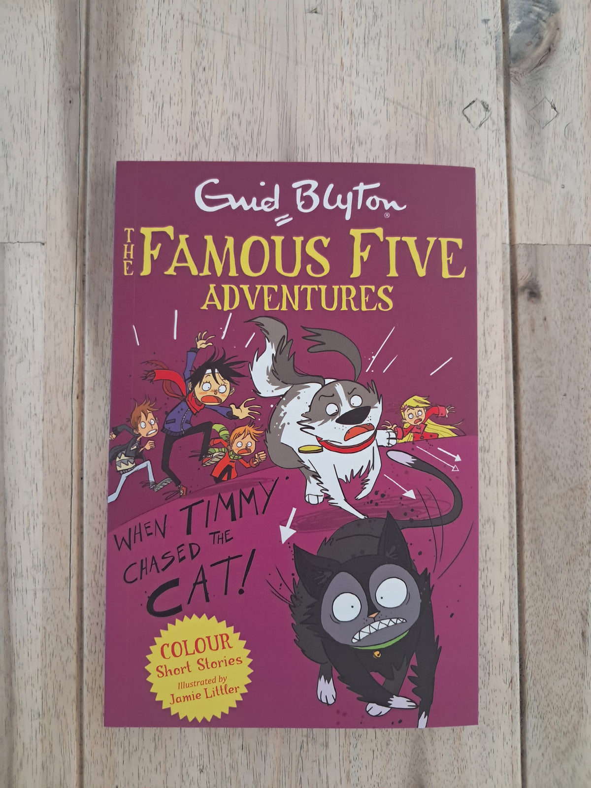 Famous Five Colour Short Stories: When Timmy Chased the Cat – Enid Blyton