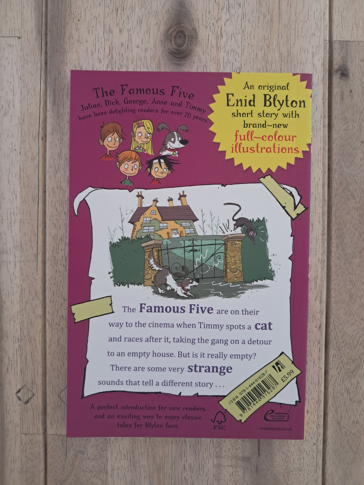 Famous Five Colour Short Stories: When Timmy Chased the Cat – Enid Blyton