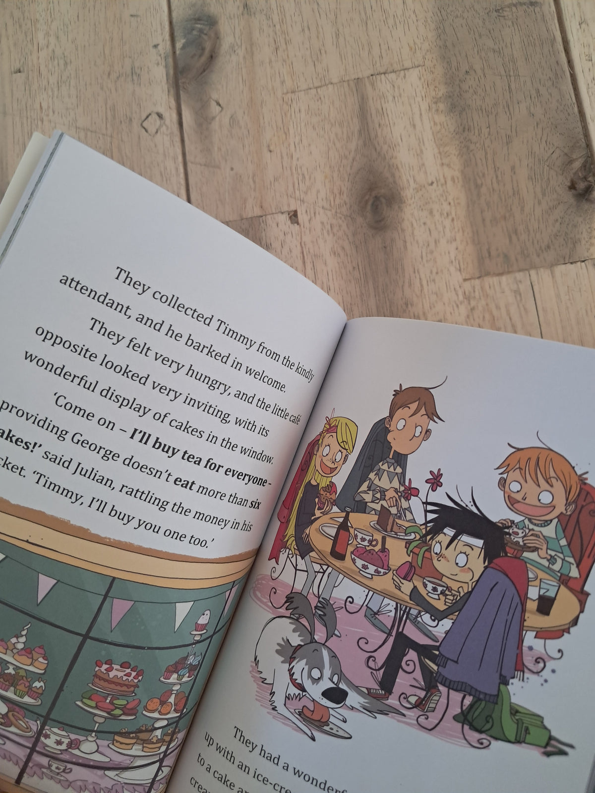 Famous Five Colour Short Stories: When Timmy Chased the Cat – Enid Blyton