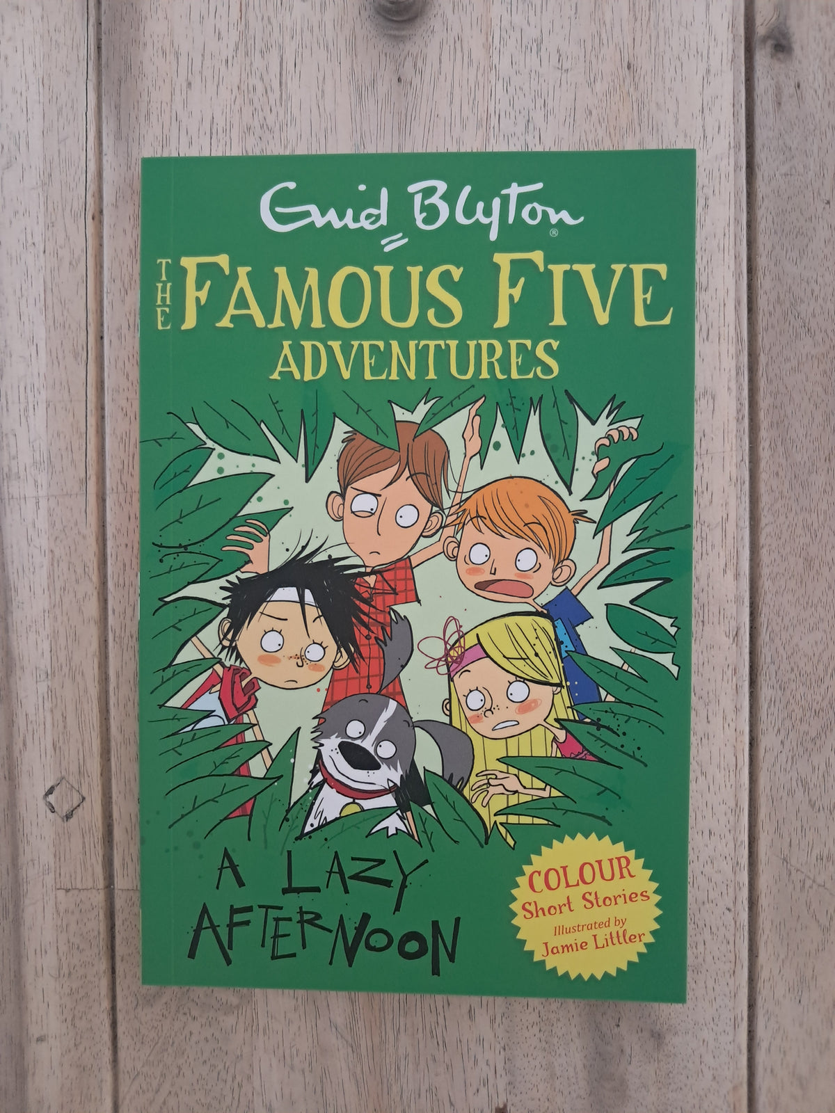 Famous Five Colour Short Stories: A Lazy Afternoon – Enid Blyton
