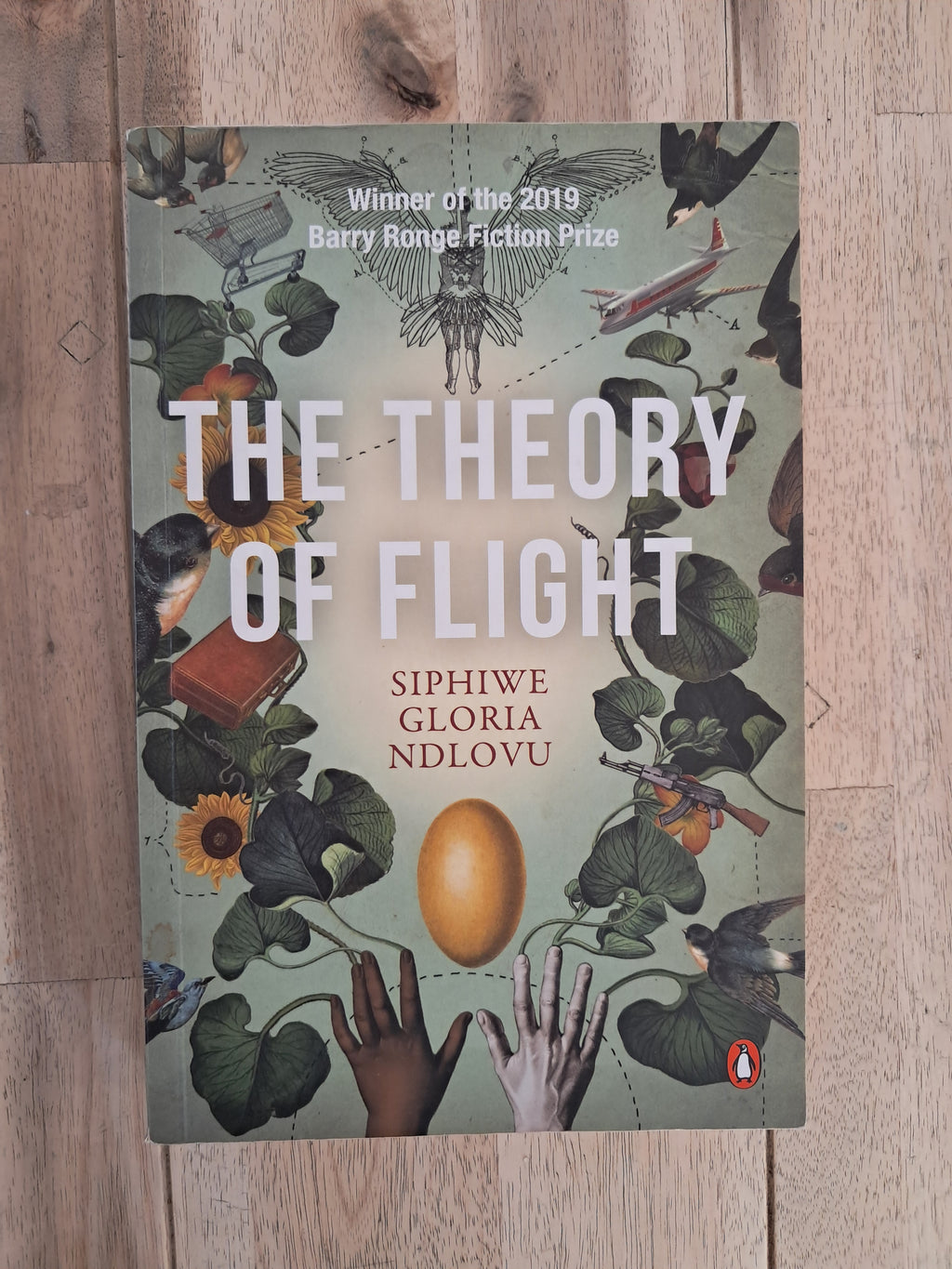 The Theory of Flight – Siphiwe Gloria Ndlovu