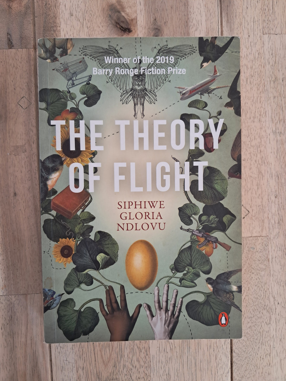 The Theory of Flight – Siphiwe Gloria Ndlovu