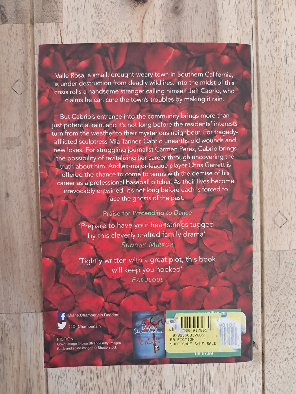 Fire and Rain – Diane Chamberlain
