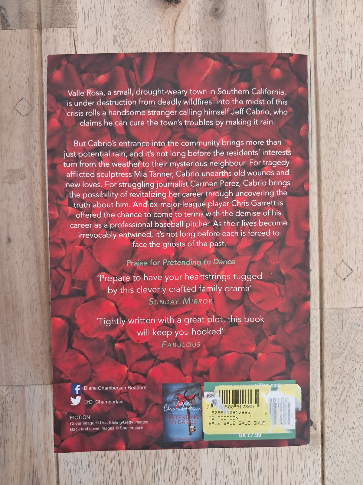 Fire and Rain – Diane Chamberlain