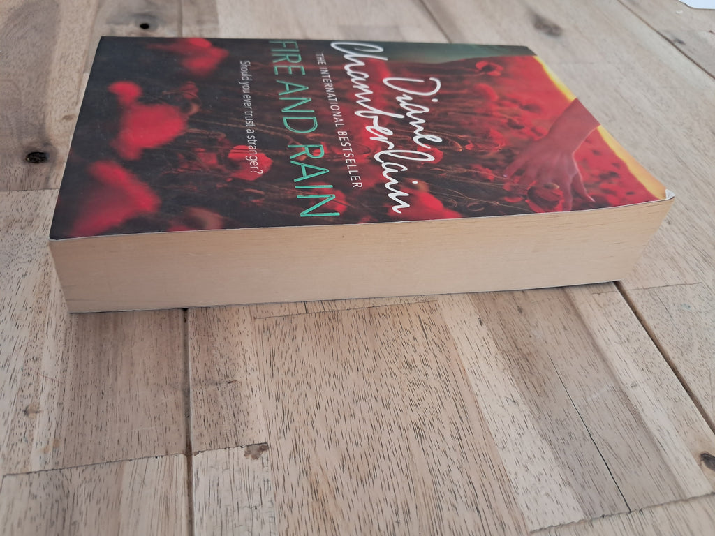 Fire and Rain – Diane Chamberlain