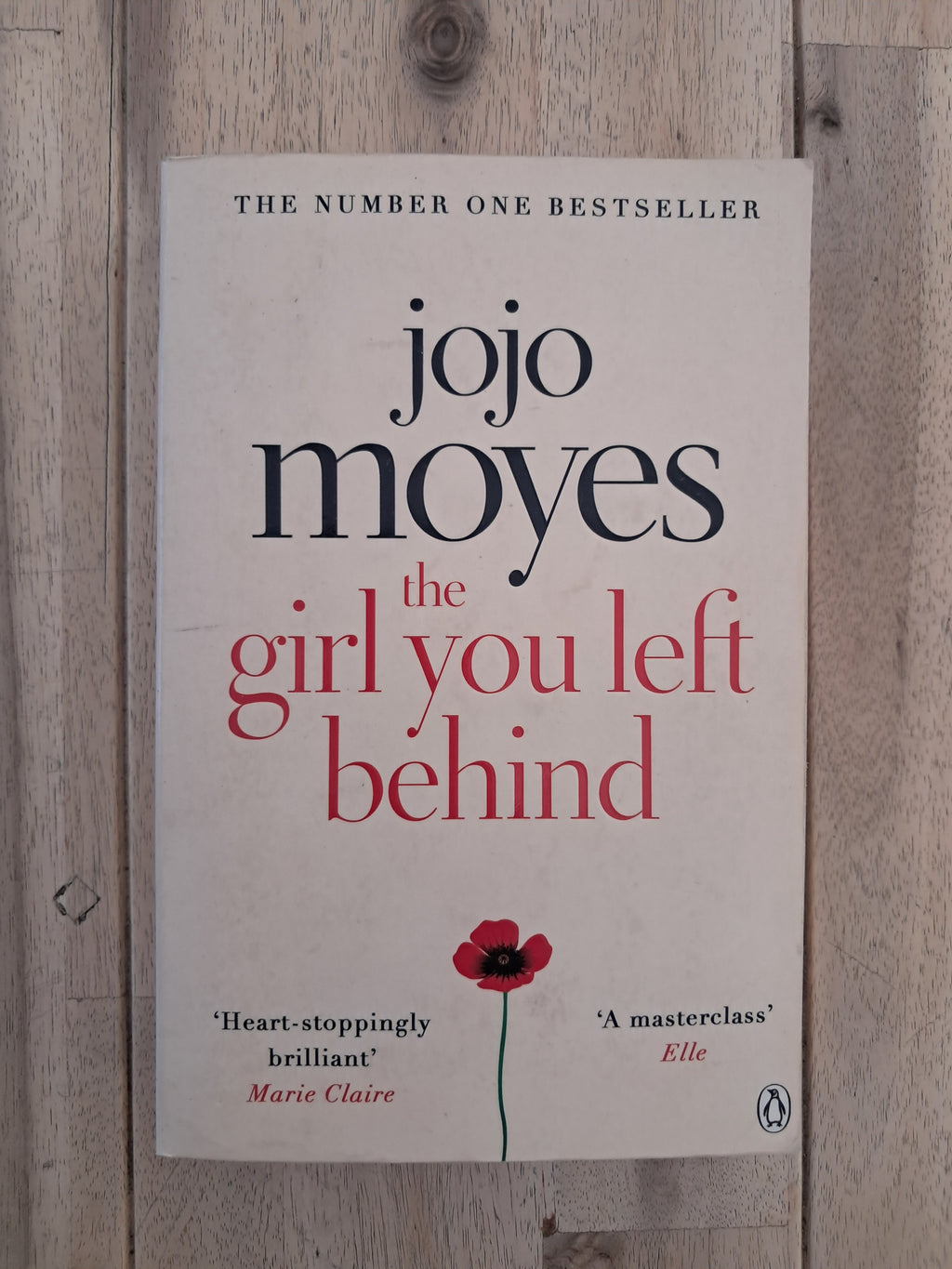 The Girl You Left Behind – Jojo Moyes