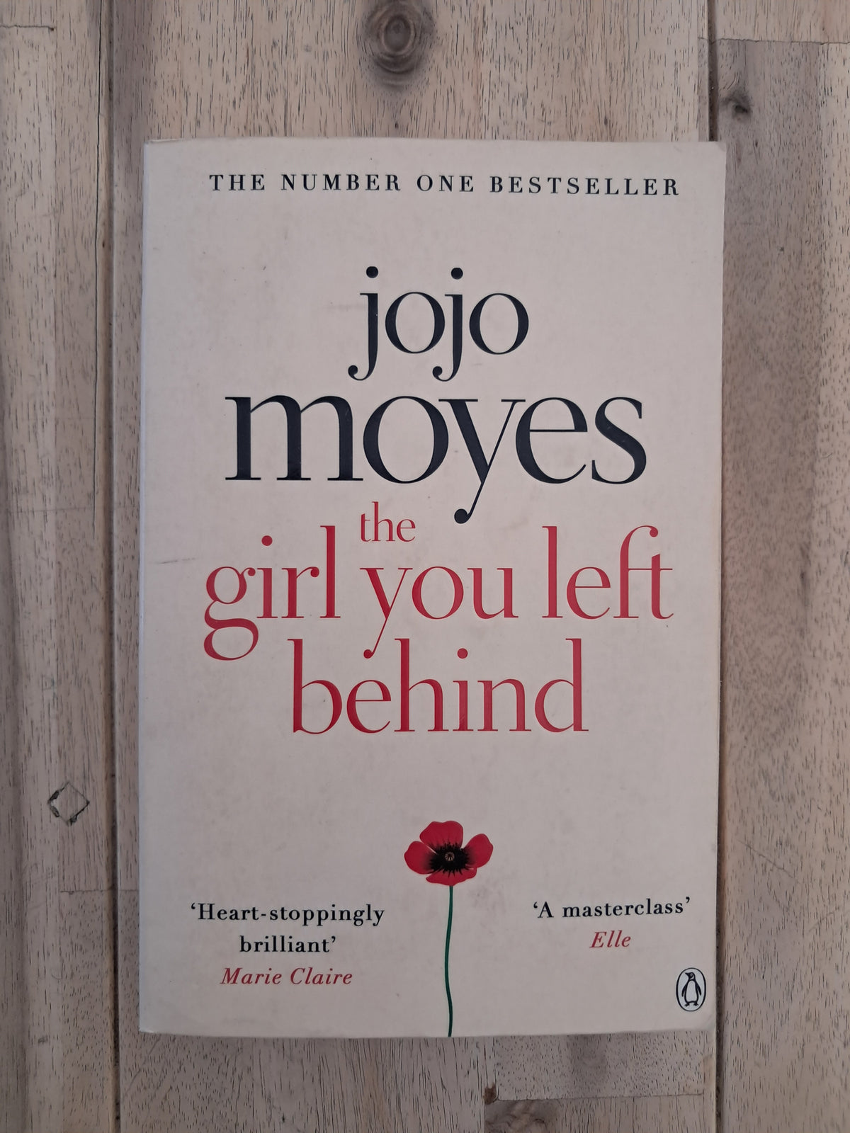 The Girl You Left Behind – Jojo Moyes