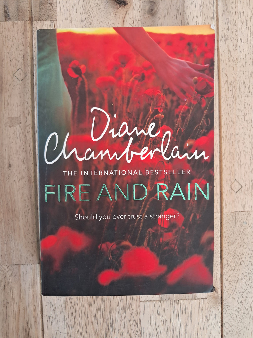 Fire and Rain – Diane Chamberlain