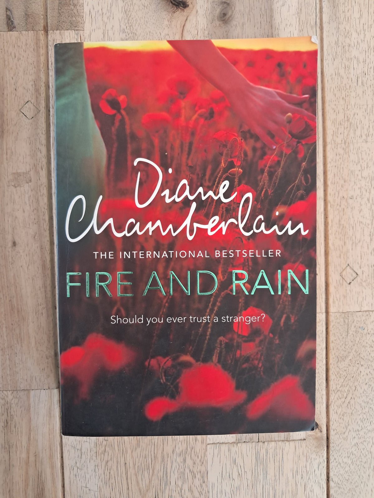 Fire and Rain – Diane Chamberlain