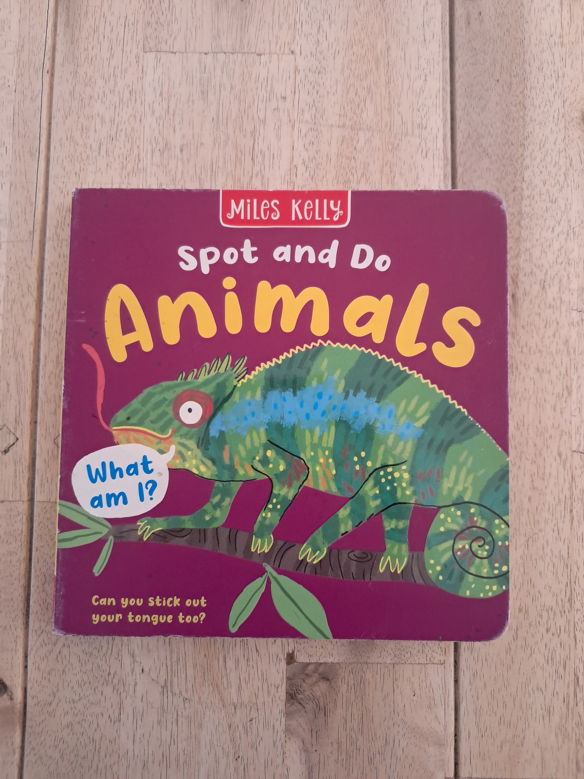 Spot and Do: Animals – Miles Kelly