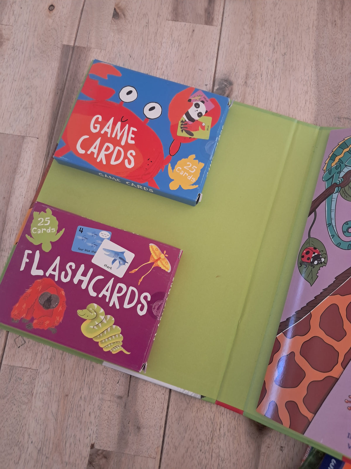 Animals Activity Pack! – Claire Philip