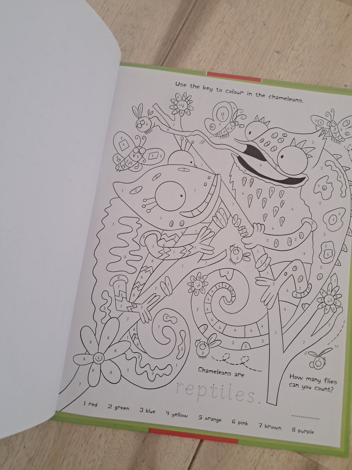 Animals Activity Pack! – Claire Philip