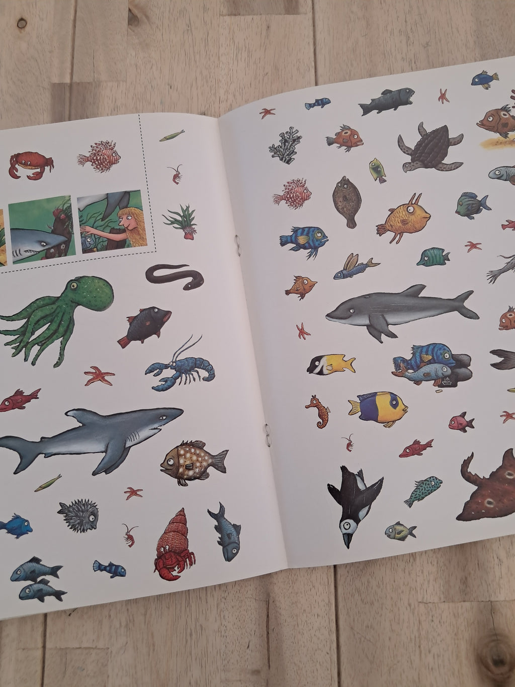 The Tiddler Sticker Activity Book – Julia Donaldson