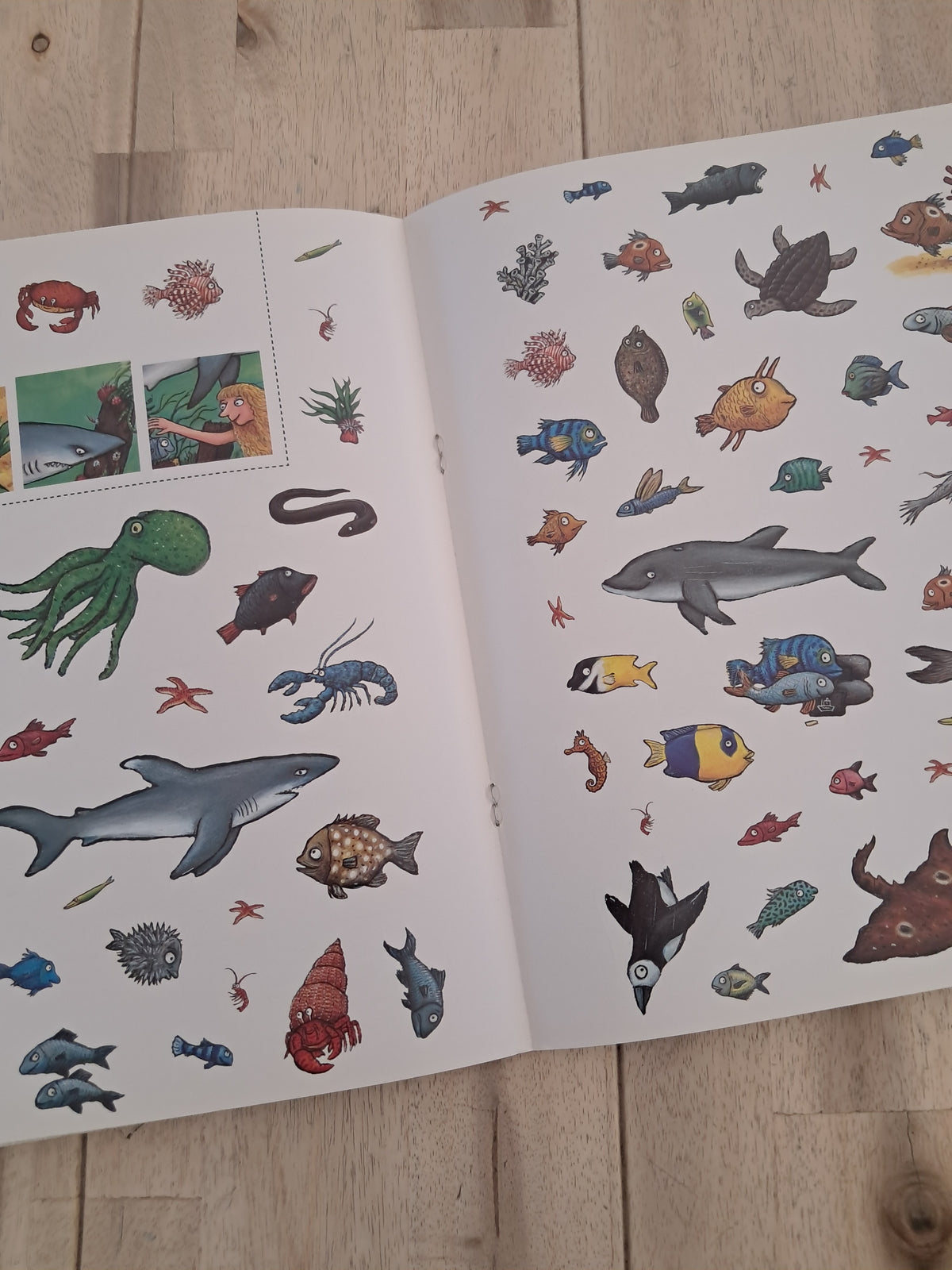 The Tiddler Sticker Activity Book – Julia Donaldson