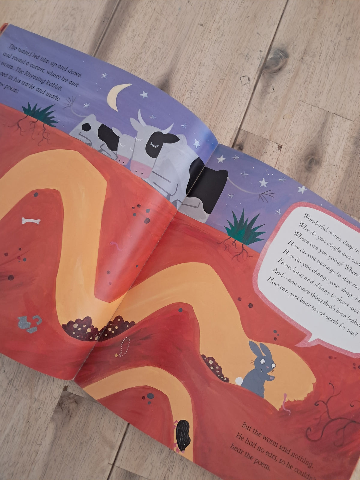 The Rhyming Rabbit – Julia Donaldson